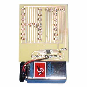 FLASHING INITIALS - SMD {{