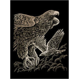 COPPER ENGRAVING HAWKS