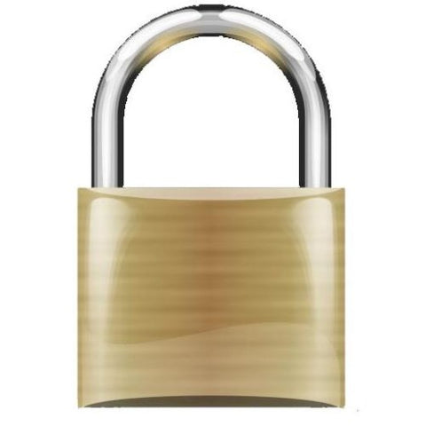 SECURITY LOCK & KEY