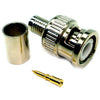 BNC PLUG CRIMP RG6