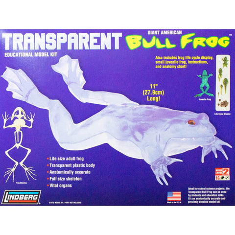 TRANSPARENT BULL FROG MODEL KIT {{11IN LONG