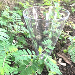 RAIN GAUGE MEASURES UPTO 50MM RAIN GARDEN CONE