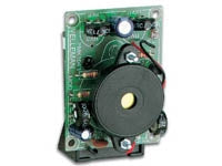 ELECTRONIC CRICKET (INSECT) {{