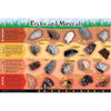PLACEMAT ROCKS & MINERALS