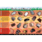 PLACEMAT ROCKS & MINERALS