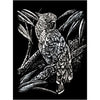 SILVER ENGRAVING COCKATOO