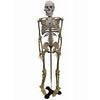 HUMAN SKELETON -18 (46CM) HEIGHT WITH STAND
