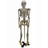 HUMAN SKELETON -18 (46CM) HEIGHT WITH STAND