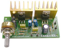 POWER AMPLIFIER BRIDGED 20W {{ASSEMBLED