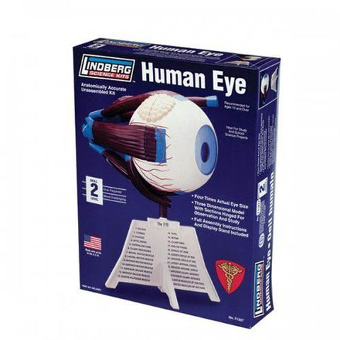 HUMAN EYE ANATOMY MODEL KIT LINDBERG UNASSEMBLED SCALE 4:1