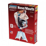 HUMAN NOSE/MOUTH ANATOMY MODEL KIT LINDBERG UNASSEMBLED