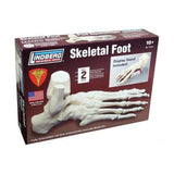 HUMAN SKELETAL FOOT MODEL KIT LINDBERG UNASSEMBLED LIFE SIZE