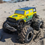 LITEHAWK DUCK(AMPHIBIOUS SUV) 4X4 RADIO CONTROLLED