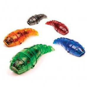 HEXBUG LARVA