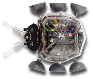 LADYBUG ROBOT KIT