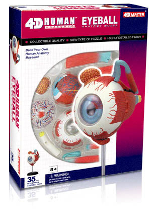 HUMAN EYEBALL ANATOMY MODEL 32PARTS W/STAND & ASSEMBLY GUIDE