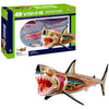 GREAT WHITE SHARK ANATOMY MODEL 4D-VISION 20PARTS W/STAND & BOOK