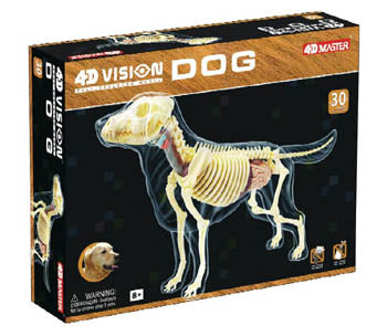 DOG SKELETON MODEL-AGES 8+ 4D-VISION