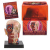 BRAIN & SKULL-HUMAN ANATOMY MODEL