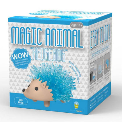 CRYSTAL KIT MAGIC HEDGEHOG ASSORTED COLORS