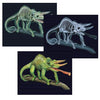 ANIMAL X-RAY CARD TILT & VIEW SCIENCE DOUBLE SIDED ASSORTED