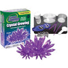 CRYSTAL GROWING KIT PURPLE