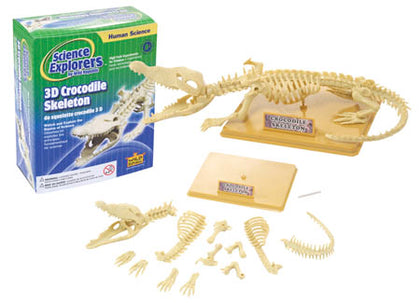 CROCODILE SKELETON KIT