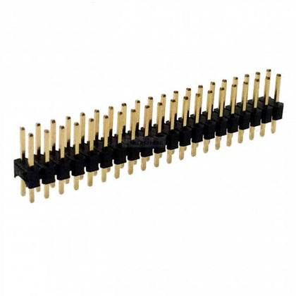 DIPHDR 2.5MM 80P BRST 3/6 GOLD