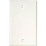 WALL PLATE BLANK WHITE PLASTIC