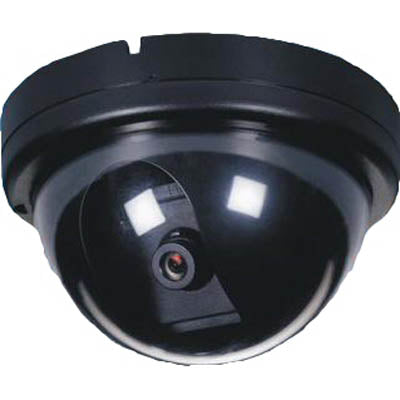 CAMERA DUMMY WITH MOTION SENSOR USE 2AA BATTERIES
