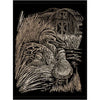 COPPER ENGRAVING DUCKS