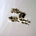 FUSE CLIP 5MM
