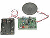 SINGLE-MESSAGE RECORD/PLAYBACK PROJECT