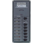 CIRCUIT BREAKER PANEL 6SP 1DP 230VAC WITH ANALOG METER