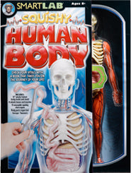 HUMAN BODY