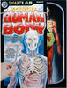 HUMAN BODY