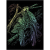 RAINBOW ENGRAVING-TROPICAL BIRD